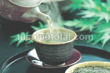 Como se prepara el té verde para la celulitis