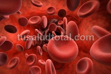 Conoce las causas de la anemia