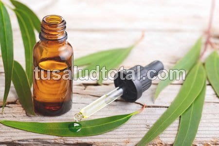Remedio natural para el asma: aceite esencial de eucalipto