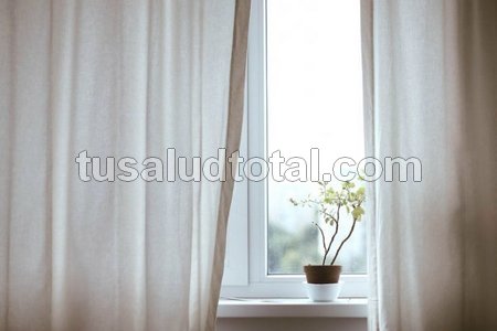 Casa limpia con cortinas y planta (mejora la respiración)