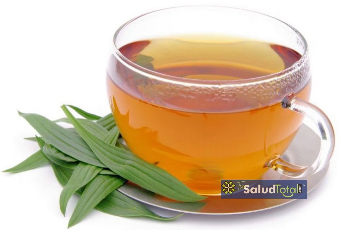 Uno de los mejores remedios naturales para la bronquitis